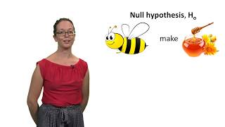 Null and alternative hypotheses with Lindsey Leach [upl. by Alesandrini256]