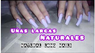 Mostrando mis uñas largas naturales pintadas longnails 💅 [upl. by Zinck520]