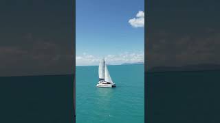 HAVE YOU SEEN THE WHITSUNDAY ESCAPE FLEET [upl. by Hirz]