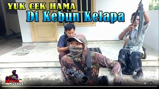 KUMPULKAN POIN HAMA KELAPA  HUNTING 168 [upl. by Ordnas]