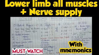 Lower limb all muscles nerve supply with mnemonic in flowchart form [upl. by Ezmeralda747]