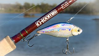 LIPLESS CRANKBAITS  Everything You Need To Know Beginner To Advanced [upl. by Fanchet]