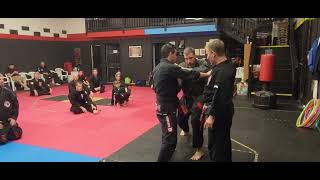 Jamie Seabrook Seminar  Kenpo Karate Technique Parting Wings [upl. by Aivyls]