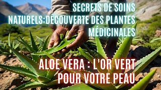 Secrets de Soins Naturels Découverte des Plantes Médicinales Aloe Vera LOr Vert pour Votre Peau [upl. by Eelac]