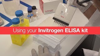 Using your Invitrogen ELISA kit [upl. by Felicie418]