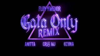 gata only remix  floyymenor x anitta x ozuna CON CRIS MJ [upl. by Durward915]