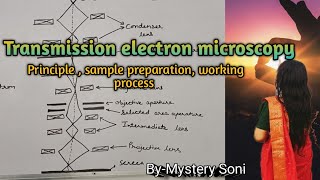 BScMSc Transmission electron microscopy for plant protoplast cells and tissues [upl. by Sevy121]