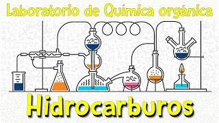 Práctica de laboratorioHidrocarburos [upl. by Lemhar741]