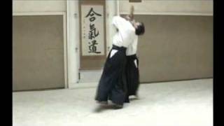 Aikido master  entrainement force attractive [upl. by Onit]