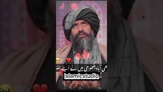 Dr Suleman misbahi new status videoviralvideo islamicstatus drsuleman misbahi [upl. by Eiuqnom116]