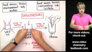 Phase Changes Exothermic or Endothermic [upl. by Hanas]