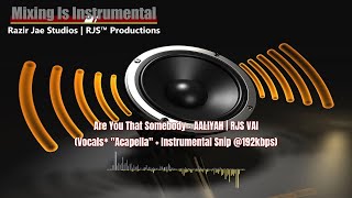 🔊 Are You That Somebody  AALIYAH  RJS VAI Vocals quotAcapellaquot  Instrum Snip 192kbps shorts [upl. by Calvin]