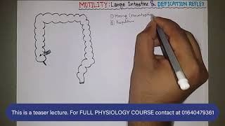 Motility  Large Intestine amp Defication Reflex  GASTROINTESTINAL PHYSIOLOGY  বাংলা [upl. by Nairadal]