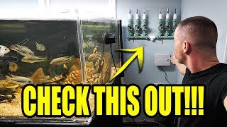 AUTOMATIC AQUARIUM WATER CHANGES STARTED  The King of DIY [upl. by Dnalloh]