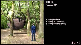 Vitalic  Stamina Maxi Version [upl. by Cath]