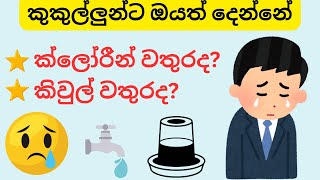 කුකුල්ලුන්ට කිවුල් වතුර  ක්ලෝරීන් වතුරද ඔයත් දෙන්නේ😢😢🫥🤌👇 [upl. by Kristofor292]