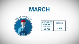 Learn about Basis Grains [upl. by Sopher]