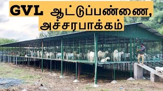 கலப்பின ஆடுகளை வைத்து நல்ல இலாபம் ஈட்டும் GVL Farm [upl. by Bikales]