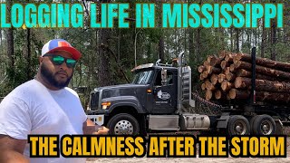 A day in the life of a logger  Logging life in MississippiGardenreetLighting [upl. by Lalad693]