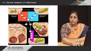 Chemical mediators of inflammation [upl. by Alocin557]