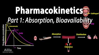 Pharmacokinetics part 1 Overview Absorption and Bioavailability Animation [upl. by Harraf]