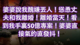 婆婆說我醜嫌丟人！慫恿丈夫和我離婚！離婚當天！看到我手裏50億專案！婆婆直接氣的直發抖！ [upl. by Esorrebma]