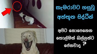 කැමරාවට හසුවූ හොල්මන් Part 21 Paranormal Activity kazzai holman wishwa gaweshaka holman holman [upl. by Anitsud]