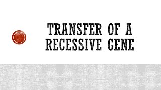 Backcross Method  Transfer of Recessive Gene  Breeding Methods  Self Pollinated Crops [upl. by Gahan]