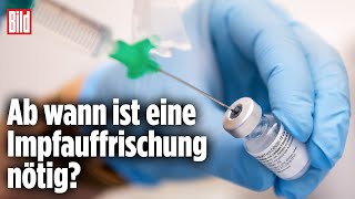 CoronaAntikörpertest Das sagen die Werte über deinen ImmunSchutz aus [upl. by Llertnek28]