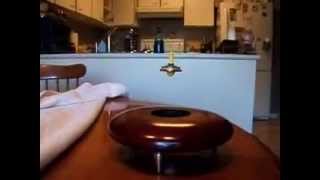 Magnetic Levitation Fun With Magnets [upl. by Lhok]