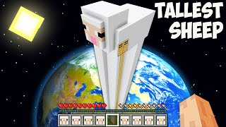 I found THE TALLEST SHEEP HOUSE in Minecraft This is THE BIGGEST SECRET SHEEP [upl. by Ikuy]