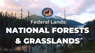 Federal Lands National Forests and Grasslands [upl. by Icul104]