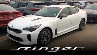 2019 Stinger GT Line GT Atlantica  First Look Feature Review vs GT Limited [upl. by Swetlana]