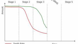 The Demographic Transition Model [upl. by Erialb]