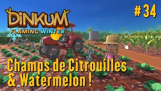 Dinkum  Lets Play 34  Champs de Citrouilles amp de Watermelon  Maj Flaming Winter [upl. by Notxarb]