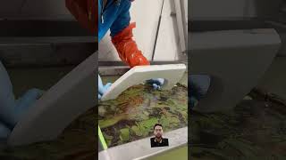 Hydro Dipping Wc Lid shorts viral viralvideo ytshorts trending [upl. by Jonah]