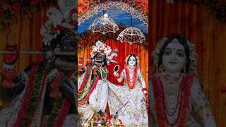 Damodar Kartik Month special shorts trending viral radhakrishna mayapur [upl. by Anirdnaxela]