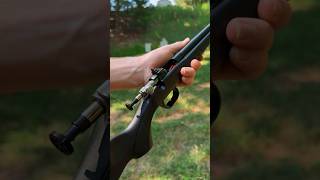 Whats It Like To Shoot The New Crickett 22LR [upl. by Leumek]