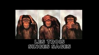 LES TROIS SINGES SAGES [upl. by Notnil]