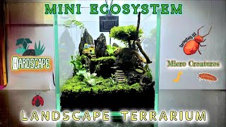 Terrarium  Nano Landscape Ecosystem 🌍 🌱 🐜 🐌 🐞  terrarium hardscapedesign ecosystem [upl. by Mayram]