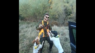 Caccia alla beccaccia woodcock hunting Greece 2021 PointerEpagneul breton Go pro 7 hero 7 black🇬🇷 [upl. by Ovid]