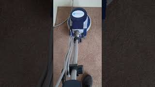 Cleaning an iron burn out of a carpet [upl. by Nerol]