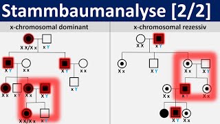 Stammbaumanalyse 22  gonosomal dominante und rezessive Erbgänge Biologie Genetik Oberstufe [upl. by Jump502]