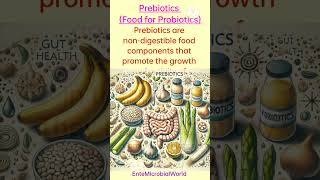 Probiotics amp Prebiotics EnteMicrobialWorld prebiotics probiotics guthealth shortsfeed yt [upl. by Mame310]