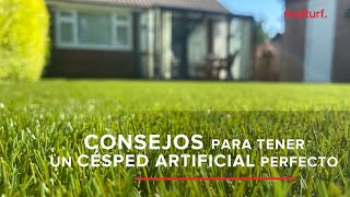 ¿Cómo cuidar el césped artificial Consejos para que esté perfecto [upl. by Zashin]