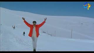 balakrishna movie song whatsapp status 💕💘💞మంచికి మెగస్టార్ చెడుకి చిరంజీవి9618829623💞💘💕4 [upl. by Nalid]