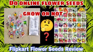 Do Online Flower Seeds Grow or Not  Online Flowers Seeds ReviewHow to grow online flowers Seeds [upl. by Airdna819]