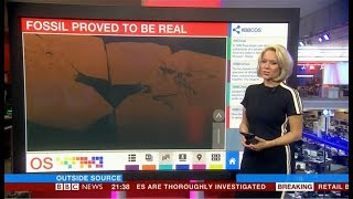 Proving the birddinosaur missing link fossil is real UKGlobal  BBC News  25th October 2018 [upl. by Genaro]