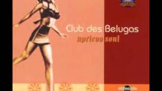 Club des Belugas  Kiss Me [upl. by Chun]