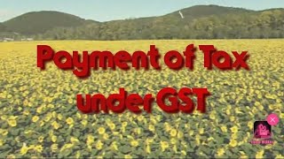 Payment of Tax under GST  Electronic ledgers amp electronic liability Register [upl. by Susi]